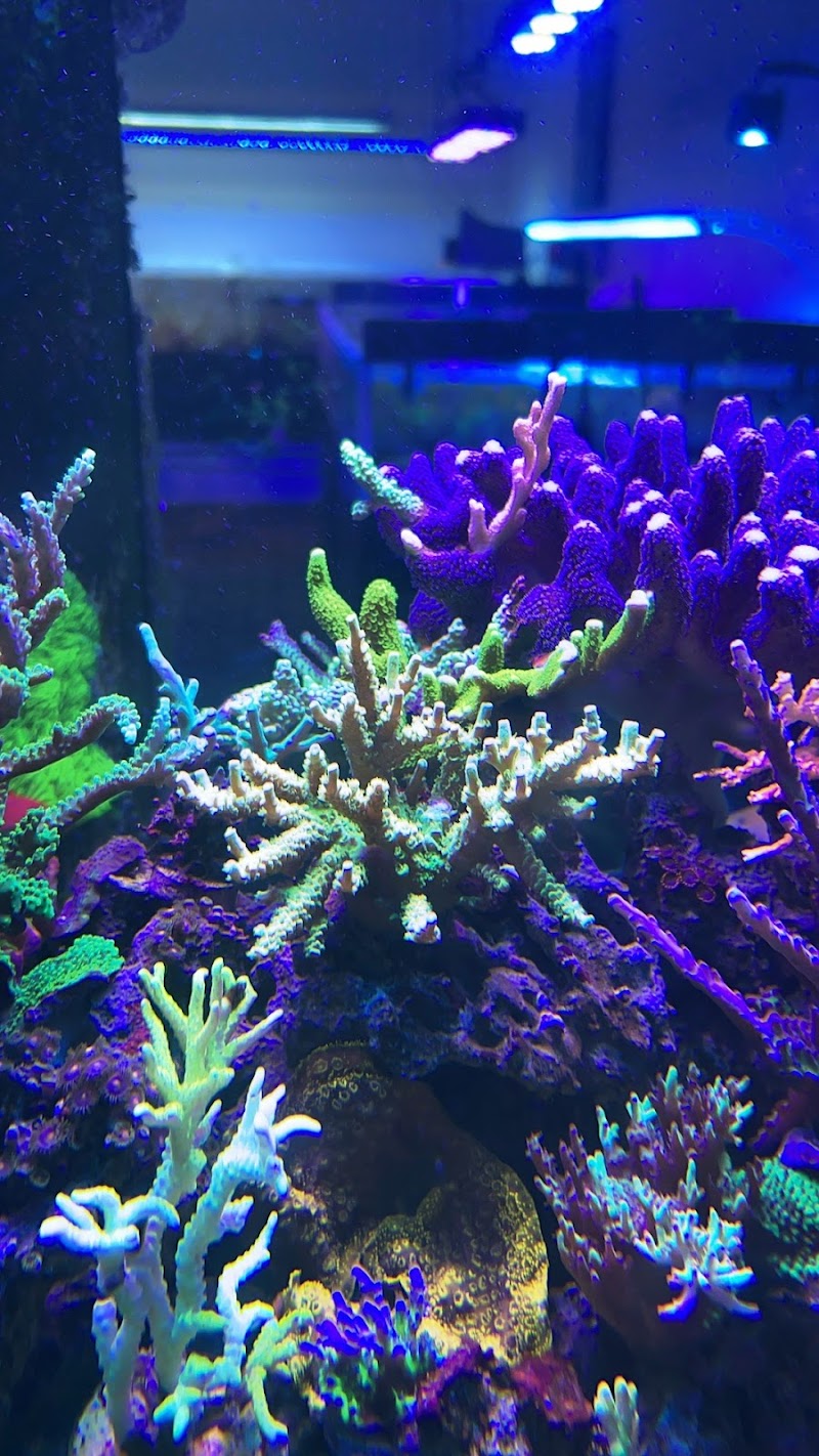 TSM Aquatics, Inc - Photo 5