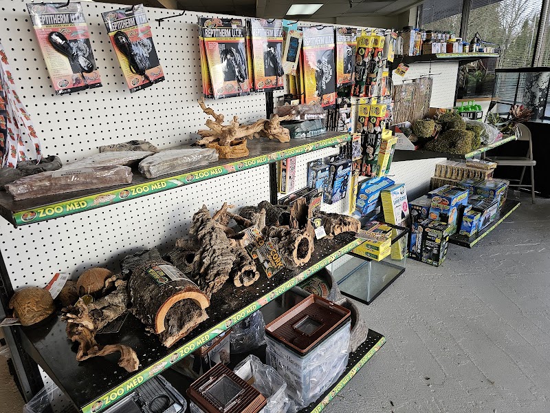 Fishys & Friends - Photo 2