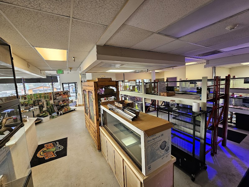 Fishys & Friends - Photo 3