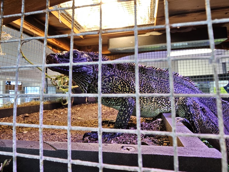 Fishys & Friends - Photo 4