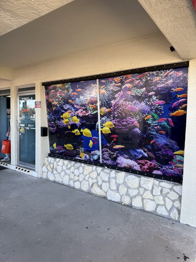 Finatic Aquatics - Photo 1