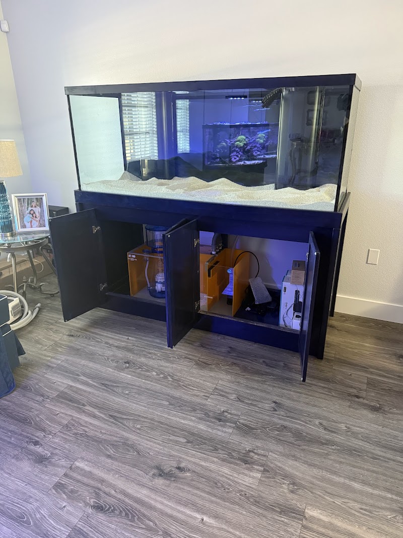 Finatic Aquatics - Photo 3