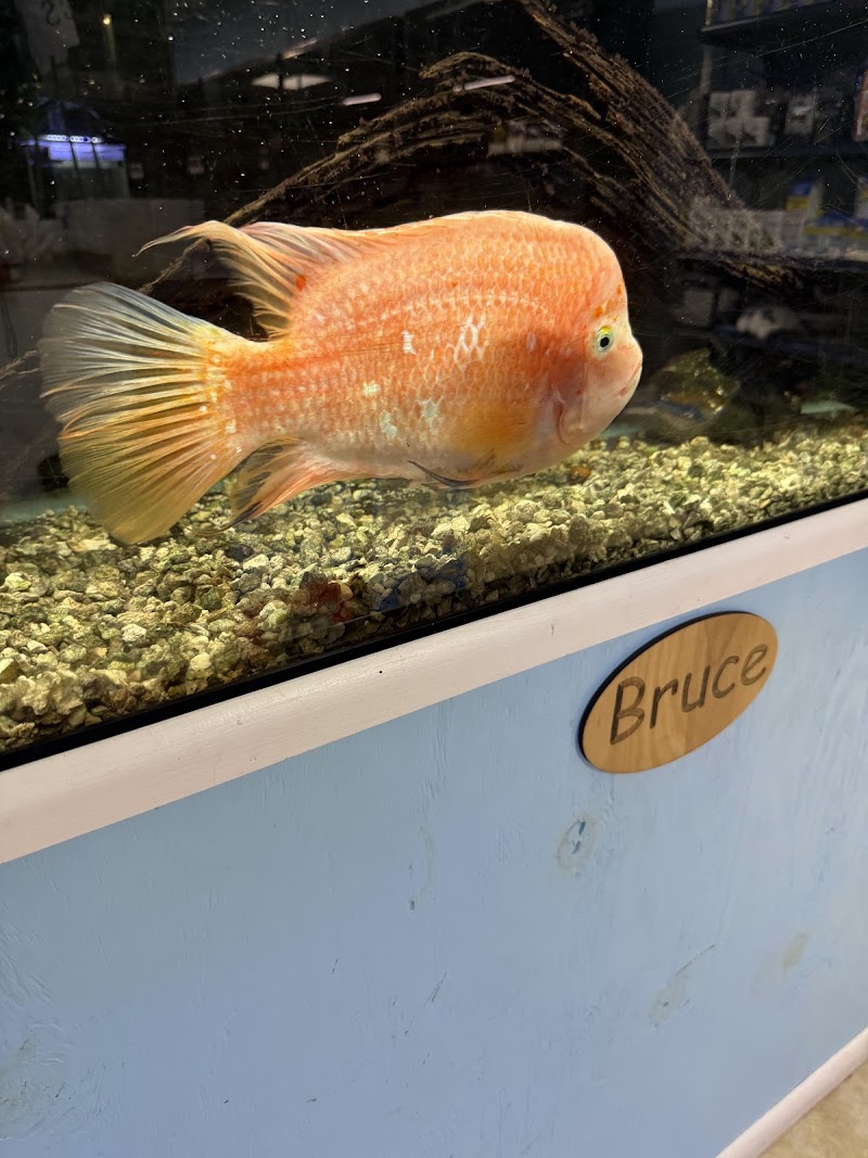 Finatic Aquatics - Photo 4