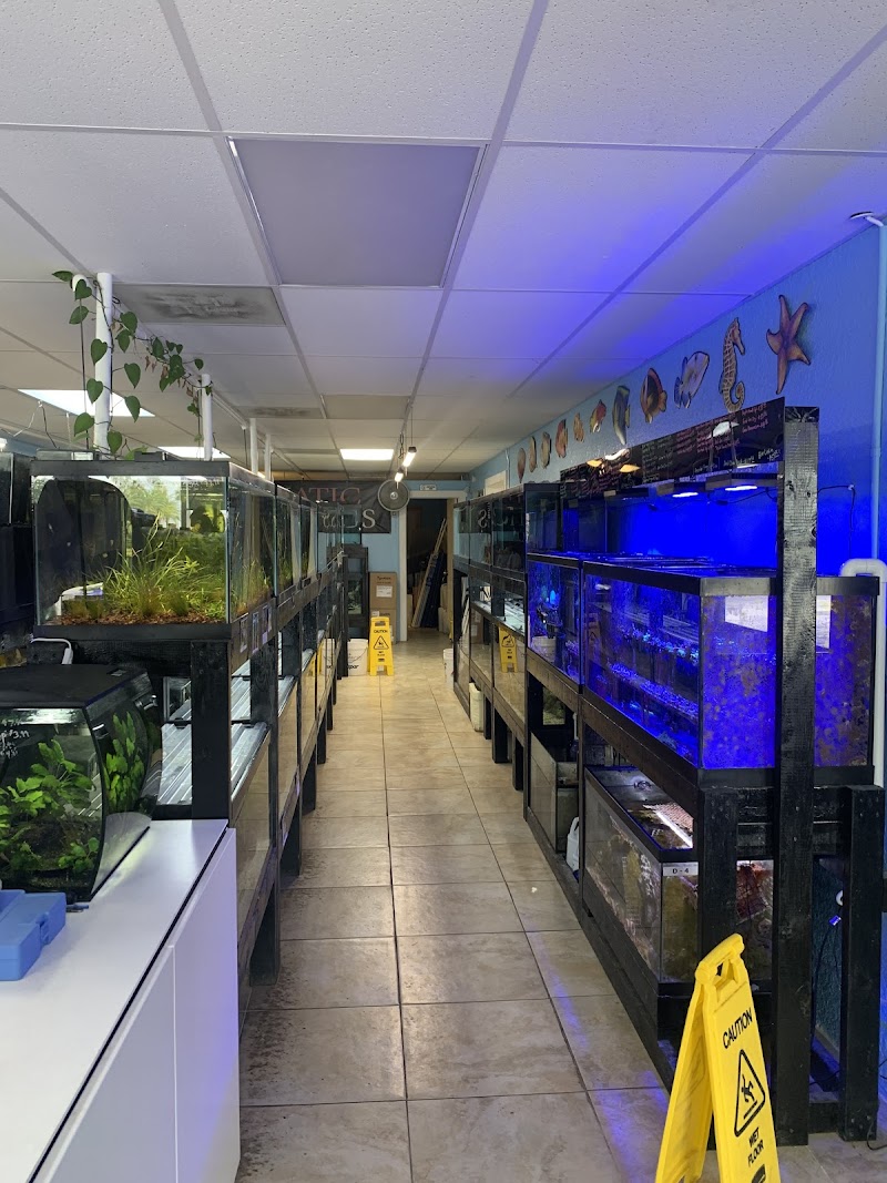 Finatic Aquatics - Photo 5