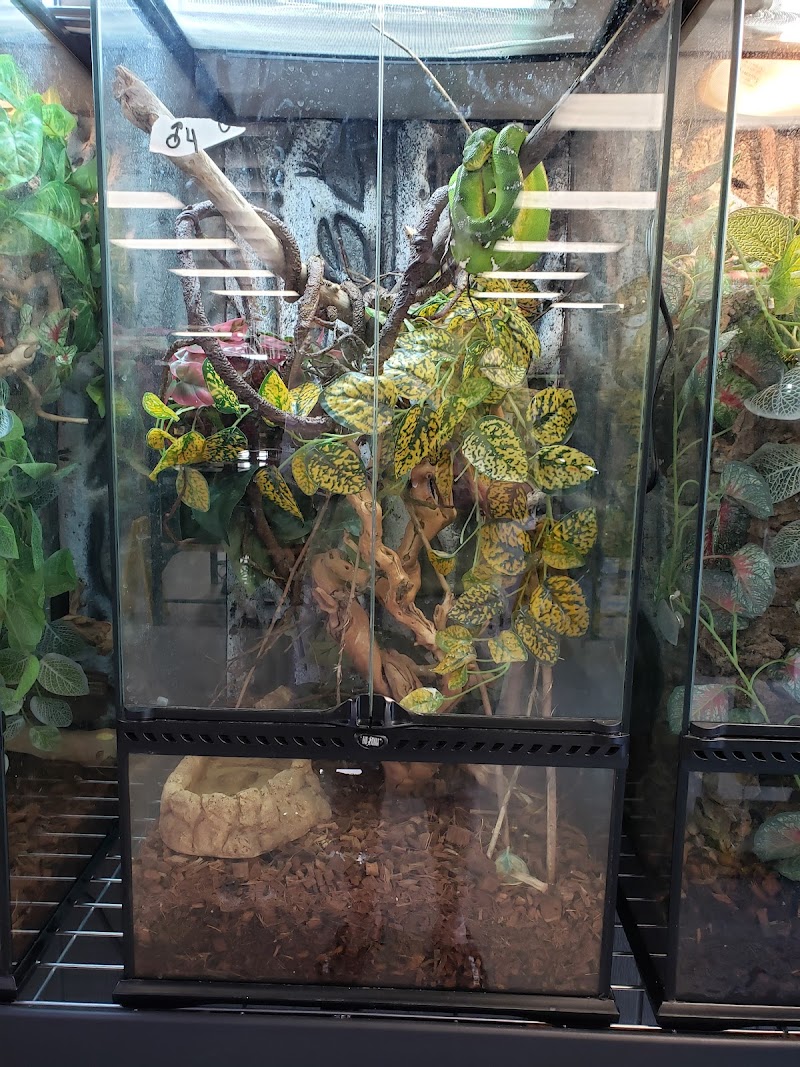 SATOO Reptiles and Aquatics - Photo 3