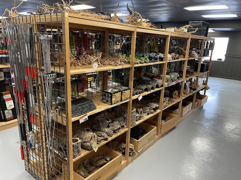 SATOO Reptiles and Aquatics - Photo 5