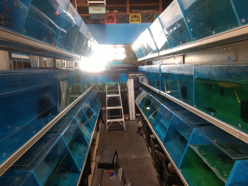 Fish Warehouse - Photo 3