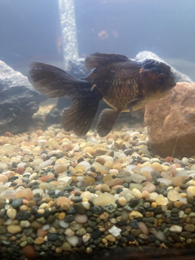 Fish Warehouse - Photo 4