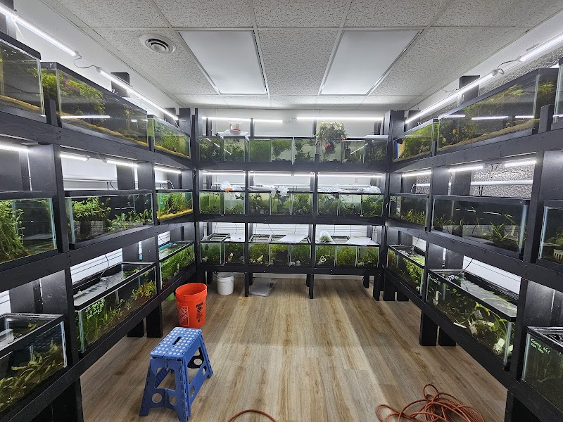 Shrimpin Ain't EZ - Photo 1