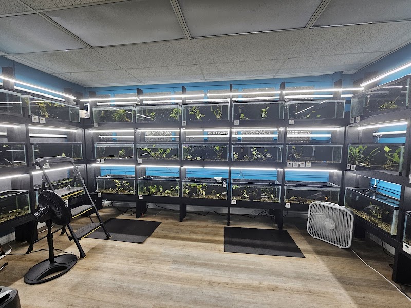 Shrimpin Ain't EZ - Photo 4