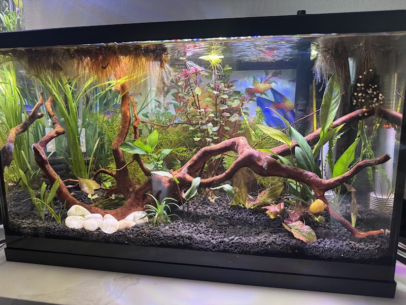 Shrimpin Ain't EZ - Photo 5