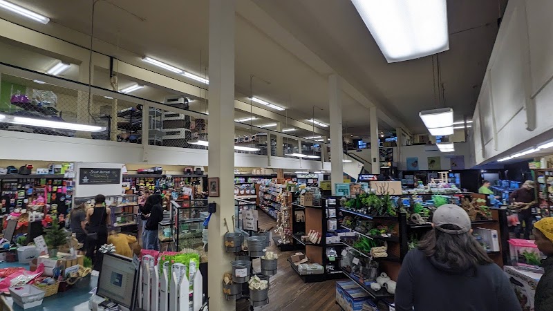 The Pet Works - Photo 5