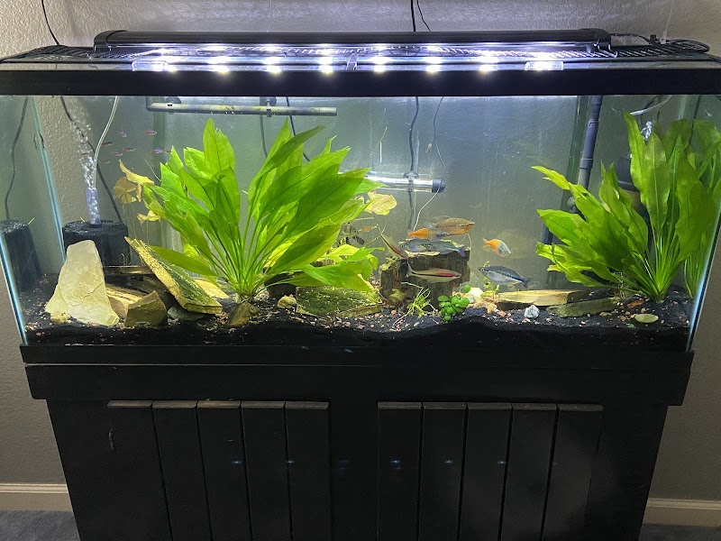 Sea Splendor Aquarium - Photo 2