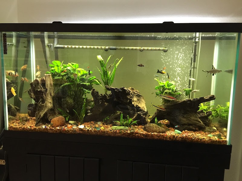 Sea Splendor Aquarium - Photo 3