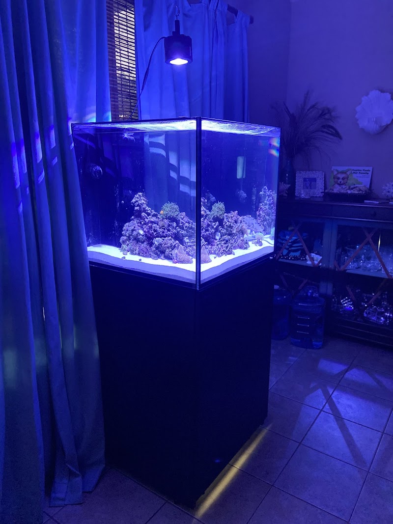 Sea Splendor Aquarium - Photo 4