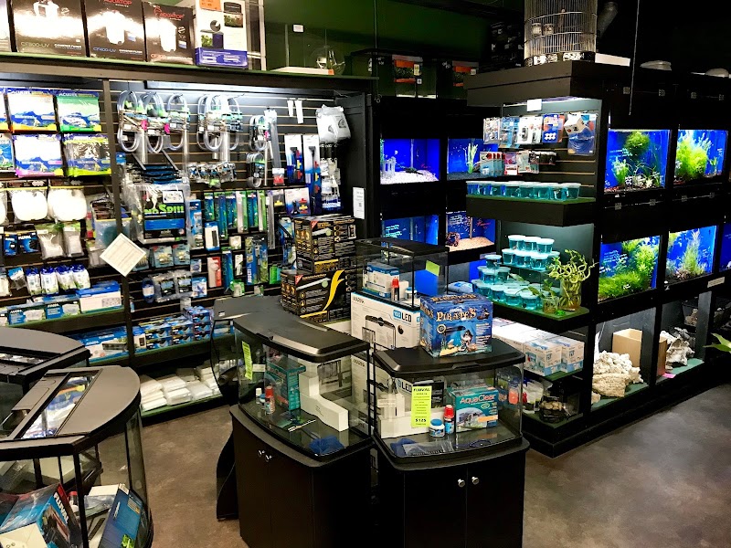 The Jungle Pet Shop - Photo 2