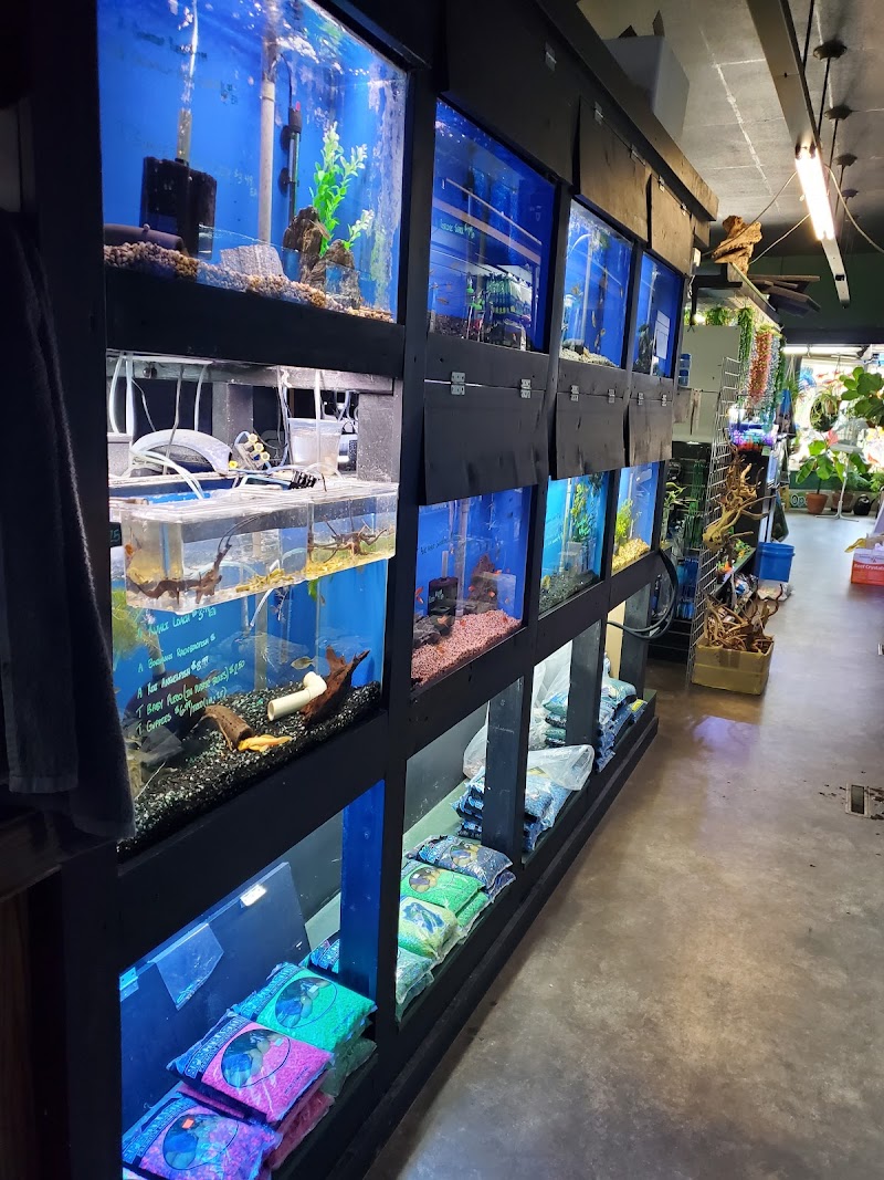 The Jungle Pet Shop - Photo 3