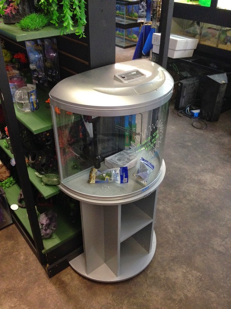 The Jungle Pet Shop - Photo 4