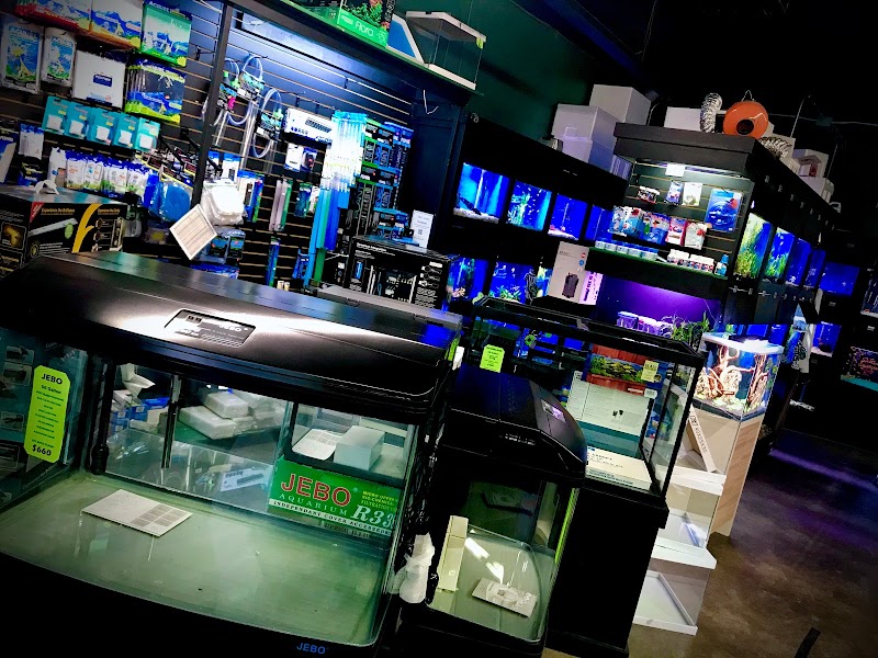 The Jungle Pet Shop - Photo 5