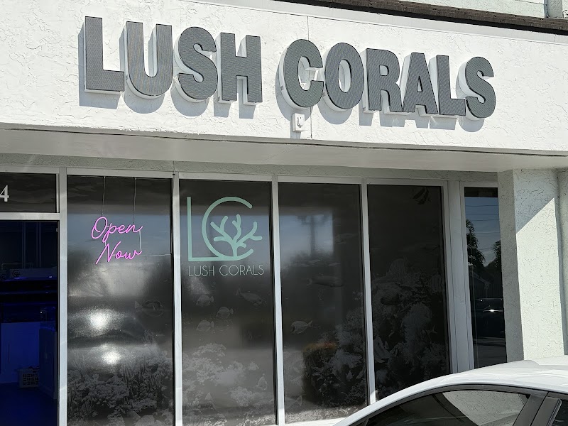 Lush Corals - Photo 1