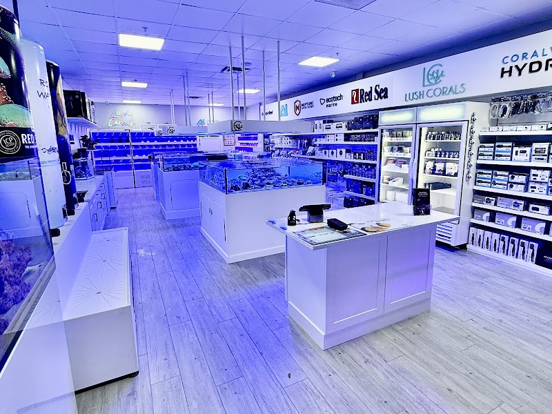 Lush Corals - Photo 2