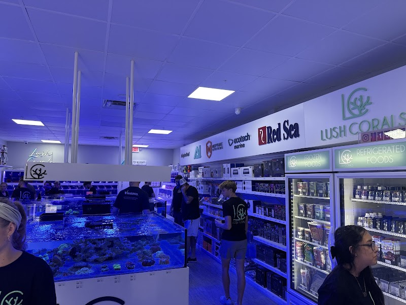 Lush Corals - Photo 4