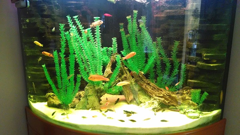 Tri-County Tropicals, Inc. - Photo 2