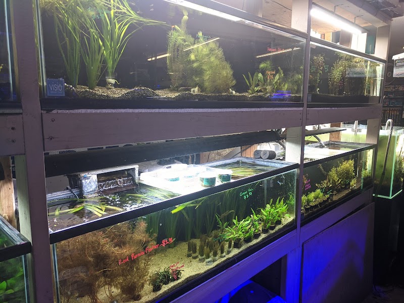 C K Fish World - Photo 2