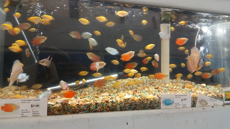 C K Fish World - Photo 3