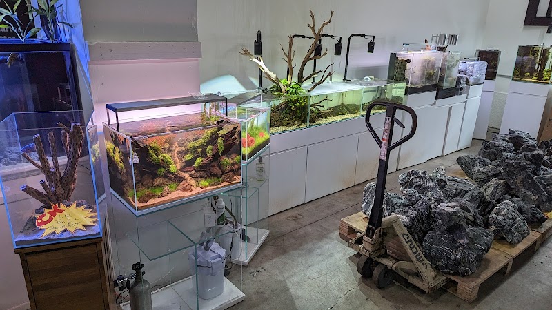 C K Fish World - Photo 5