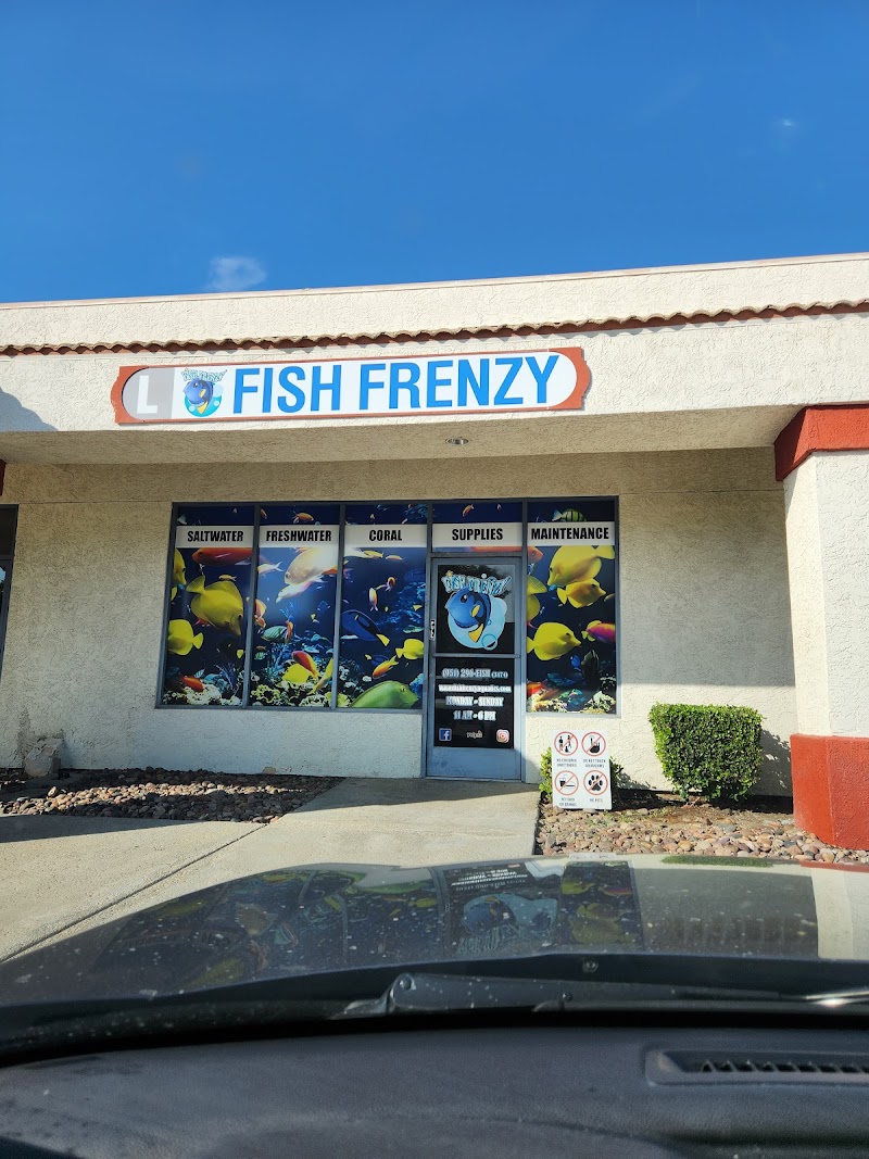 Fish Frenzy - Photo 1