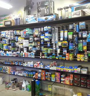 Fish Frenzy - Photo 3