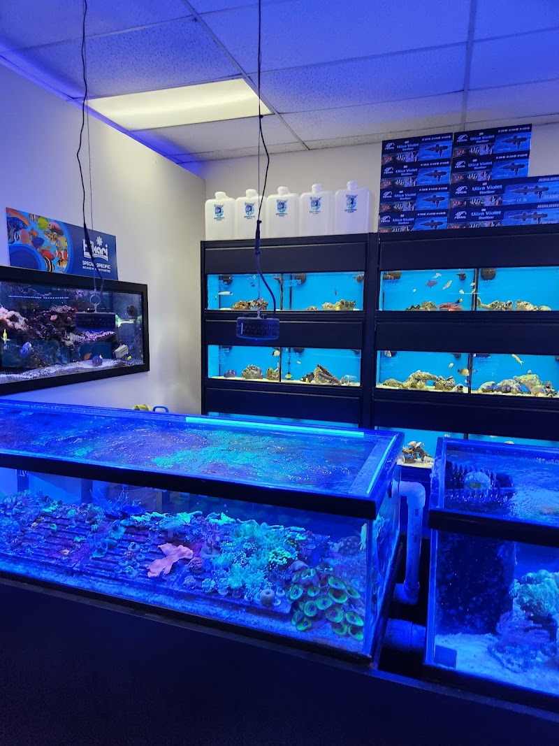 Fish Frenzy - Photo 4