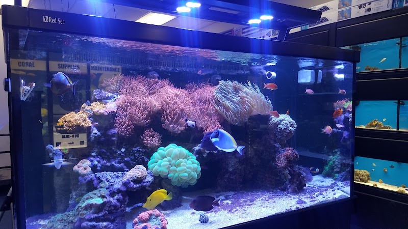 Fish Frenzy - Photo 5