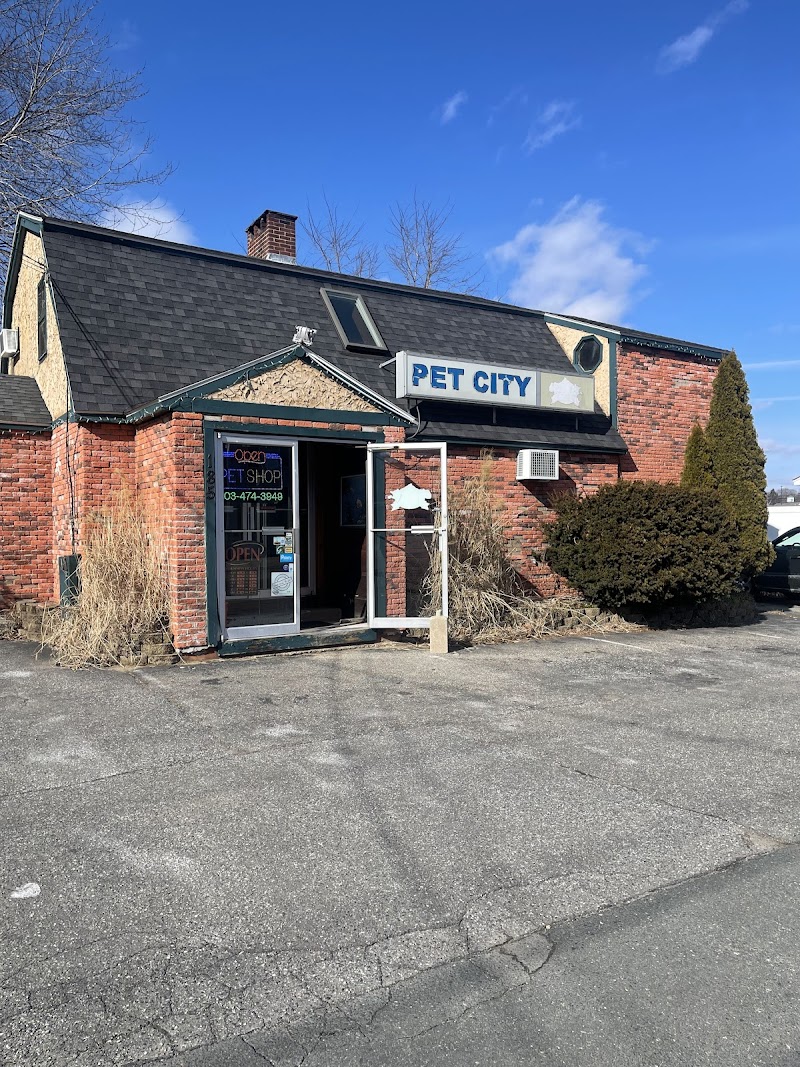 Pet City llc - Photo 1