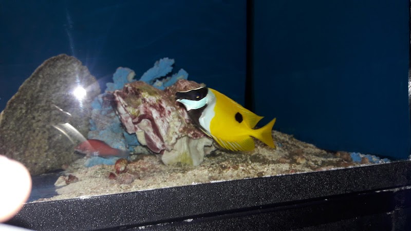 Pet City llc - Photo 3