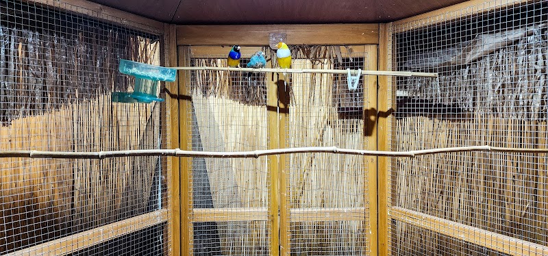 Pet City llc - Photo 5