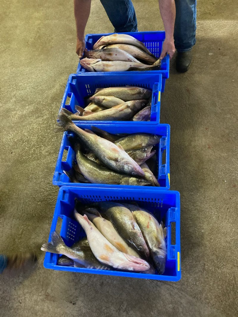 Port Clinton Fisheries Inc - Photo 4