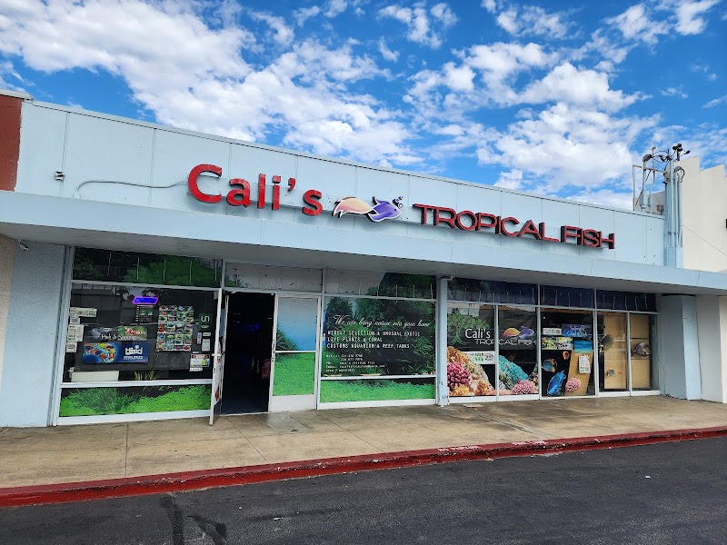 Cali's Tropical Fish - Photo 1