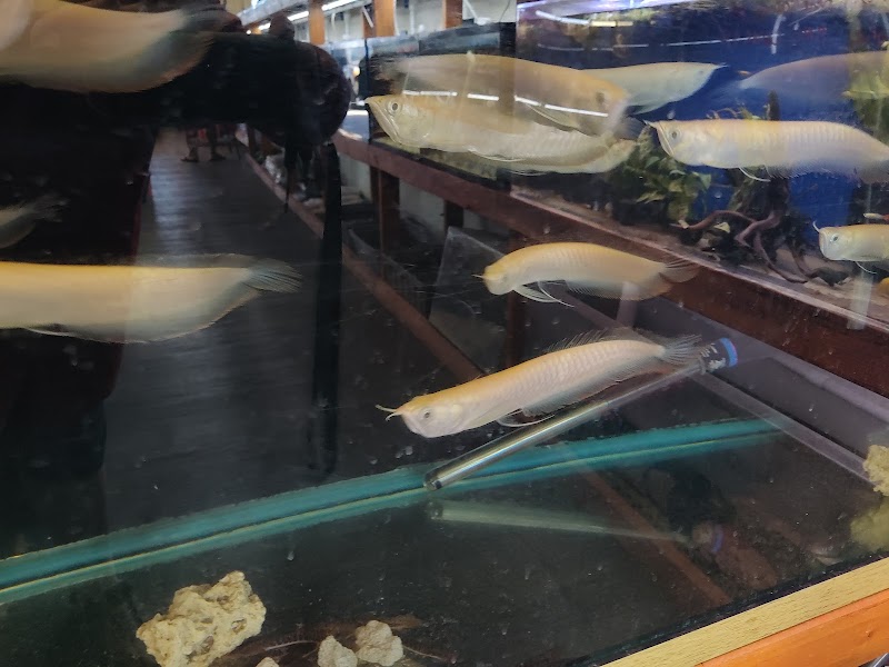 The Fin Shop - Photo 1