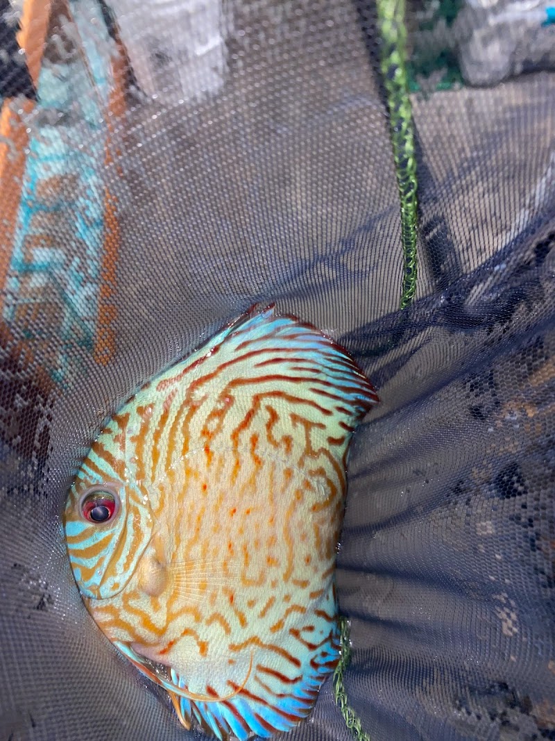 The Fin Shop - Photo 3