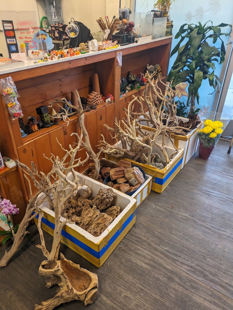 The Fin Shop - Photo 4