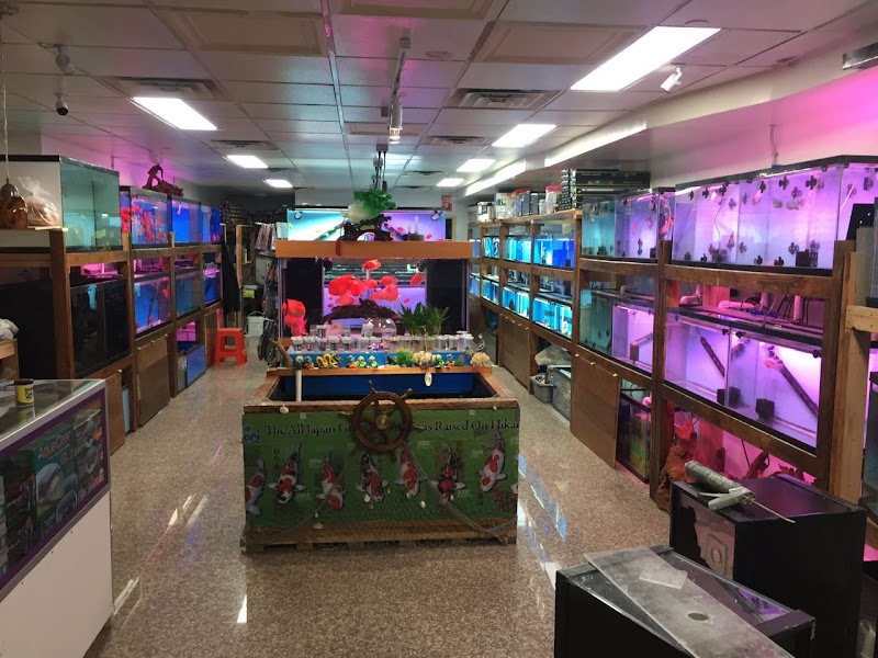 South River Aquarium - Photo 3