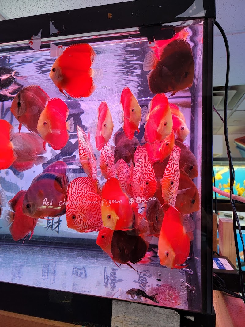 South River Aquarium - Photo 4