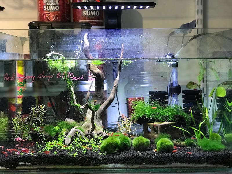 South River Aquarium - Photo 5