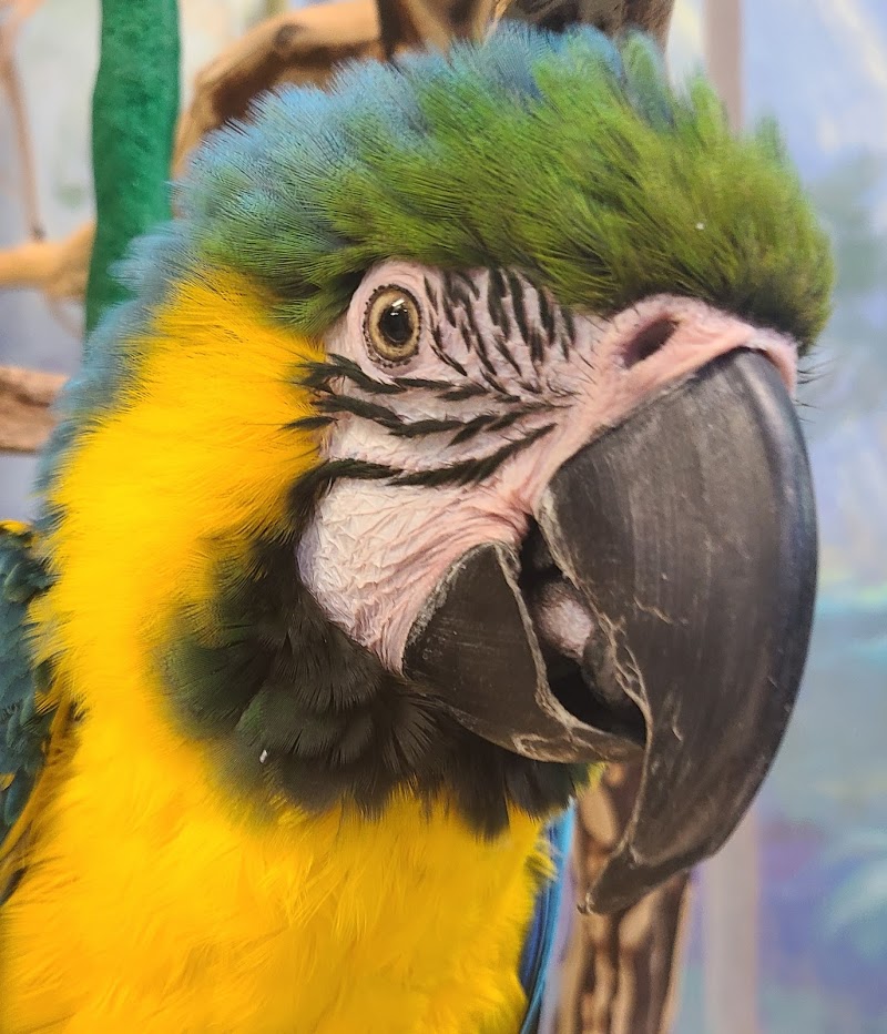 Pet World - Photo 2