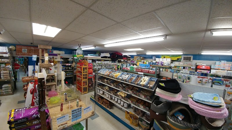 Pet World - Photo 3
