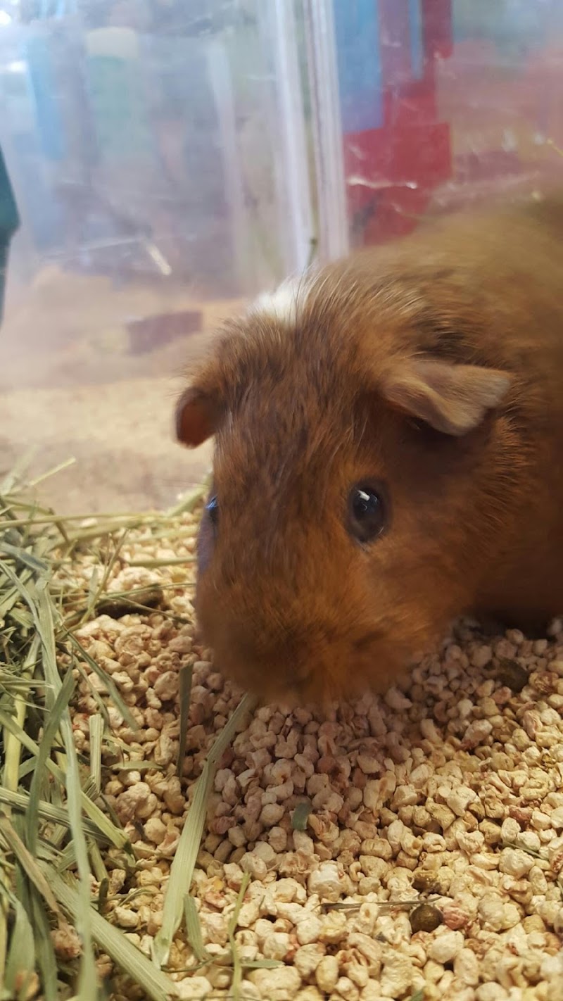 Pet World - Photo 4