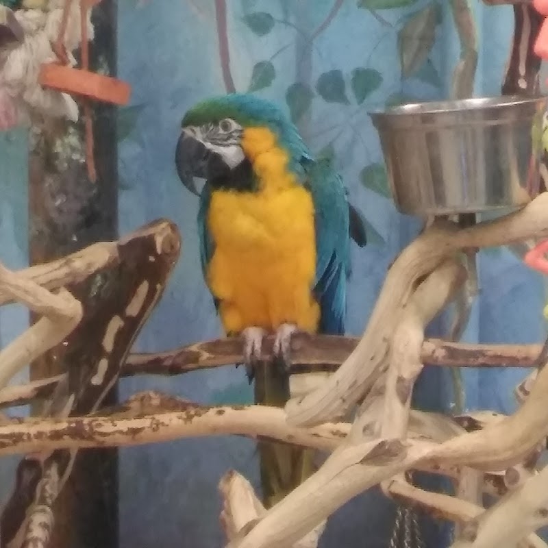 Pet World - Photo 5