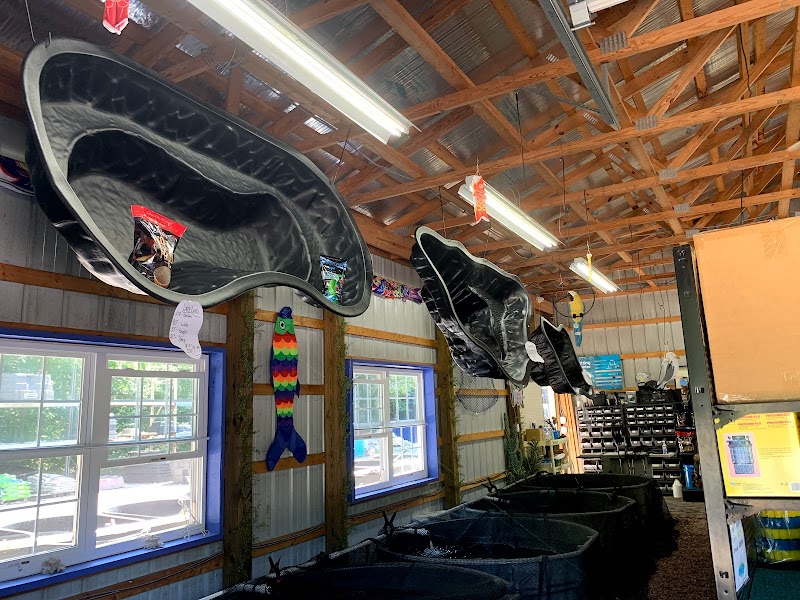 The Garden Center & Pond Supplies - Photo 2